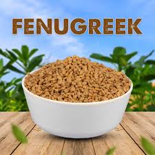 Vendhayam (Fenugreek Seeds)